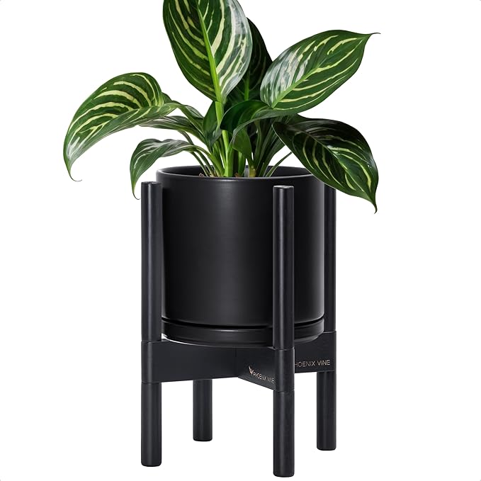 D'vine Dev Ceramic Planter with Ebony Stand - 8 Inch Modern Round Flower Pot with Wood Planter Holder, Black, 55-B-M-2 - Bloomnest