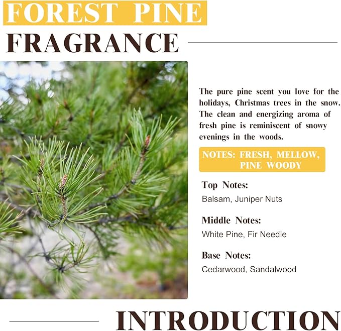 EUQEE Forest Pine Fragrance Oil Premium Fragrance Essential Oil 2.02 Fl oz with Glass Dropper for Diffusers, Soap Making, DIY Candle (60ml) - Bloomnest