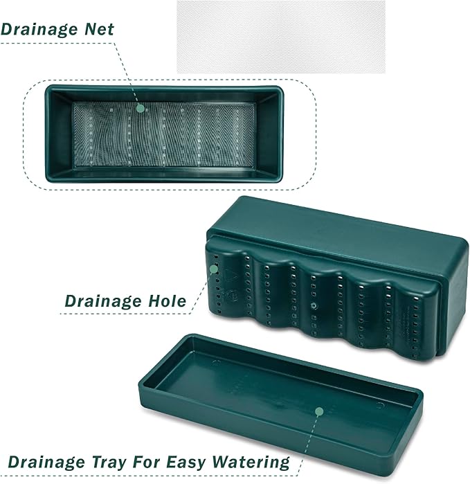 D'vine Dev 12 Inch Window Box Planter, Rectangle Plastic Herb Planter with Drainage Holes and Saucer, Indoor Succulent Cactus Vegetable Pot for Windowsill, Garden Balcony, Green, Set of 1, 76-X-C-1 - Bloomnest