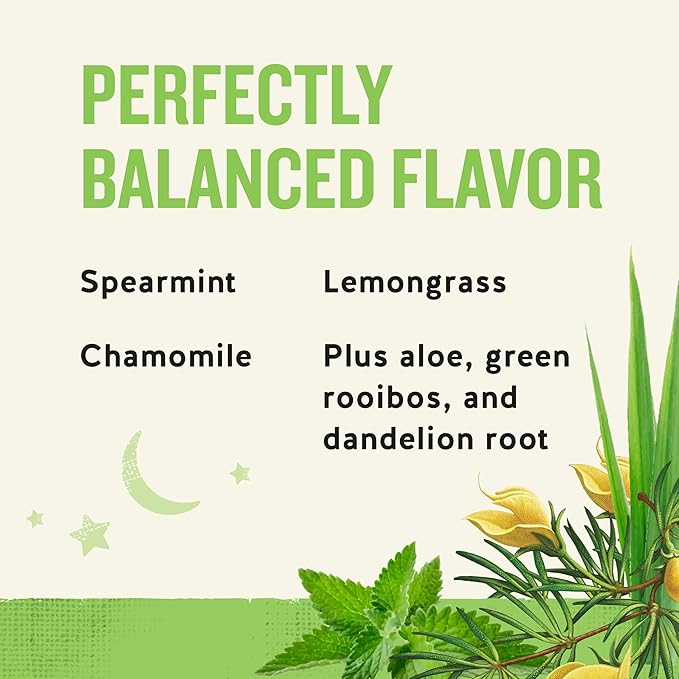 Celestial Seasonings Sleepytime Wellness Detox Tea, Caffeine Free, 20 Tea Bags Box - Bloomnest
