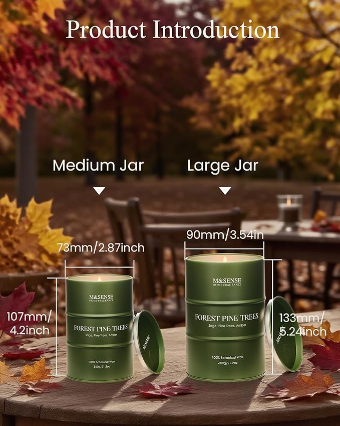M&SENSE Frosted Pine Scented Candles Natural Non Toxic, Aromatherapy Candle for Stress Relief Meditation Relaxing, Housewarming Gifts for Women Men, 11.3oz 70 Hour Long Burning - Bloomnest