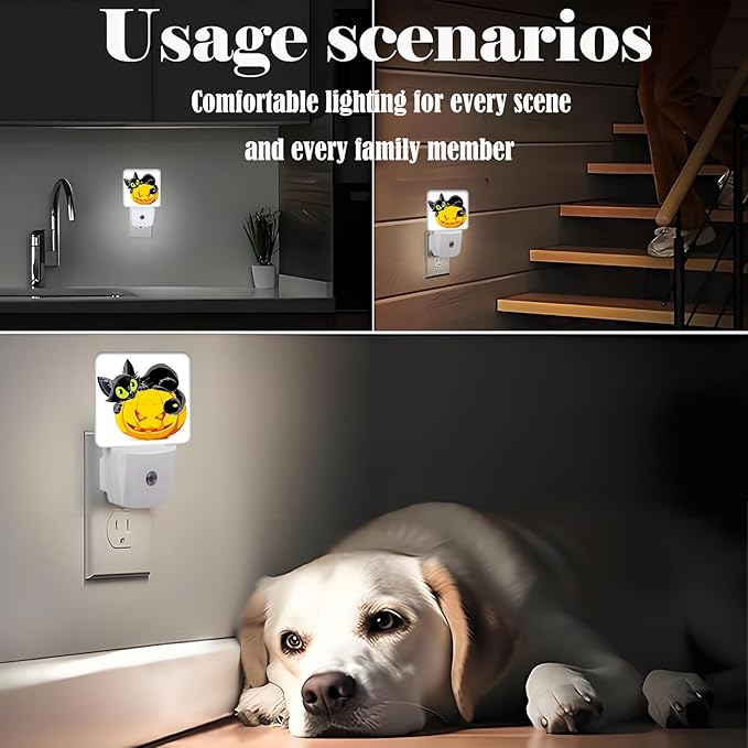 Black Cat Lying On Pumpkin Night Light,Plug Into Wall Decor for Stairway,Hallway,Kitchen,Dusk to Dawn Sensor Nightlights for Boys/Girls/Women/Men Room Gifts - Bloomnest