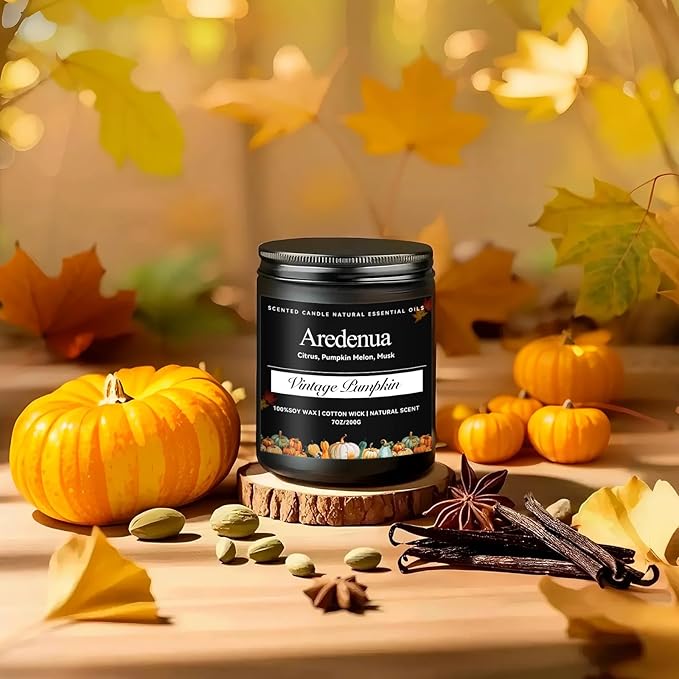 Vintage Pumpkin Candle – Holiday Soy Candles for Thanksgiving & Christmas | 7oz Pumpkin Scented Candle | Cozy Winter Candles Gift for Home Décor, Fall & Holiday Aromatherapy Gifts for Women Men - Bloomnest