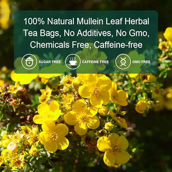 Mullein Leaf Tea Bags - Lungs Cleanse and Respiratory Support, Herbal Teas, Caffeine Free, 30 Tea Bags - Bloomnest