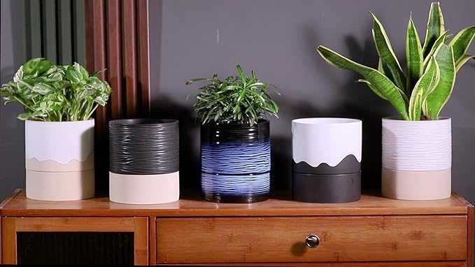 Nihow Self Watering Plant Pot: 6 Inch Ceramic Planter with Drainage Hole & Water Storage Plus for Indoor & Outdoor Plants - Cylinder Round Flower Pot for Succulent/Herbs/Violets - White & Brown - Bloomnest