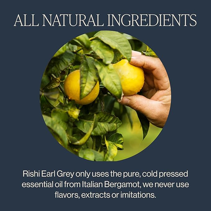 Rishi Tea Immune Support/USDA Certified Organic/Caffeinated Black Herbal Tea with Citrus Flavors for Taste, Earl Grey, 1.74 Oz - Bloomnest