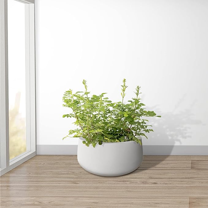 Kante 15.7" Dia Round Concrete Planter, Outdoor Indoor Garden Plant Pots with Drainage Hole and Rubber Plug, Modern Curvaceous Design, Pure White - Bloomnest