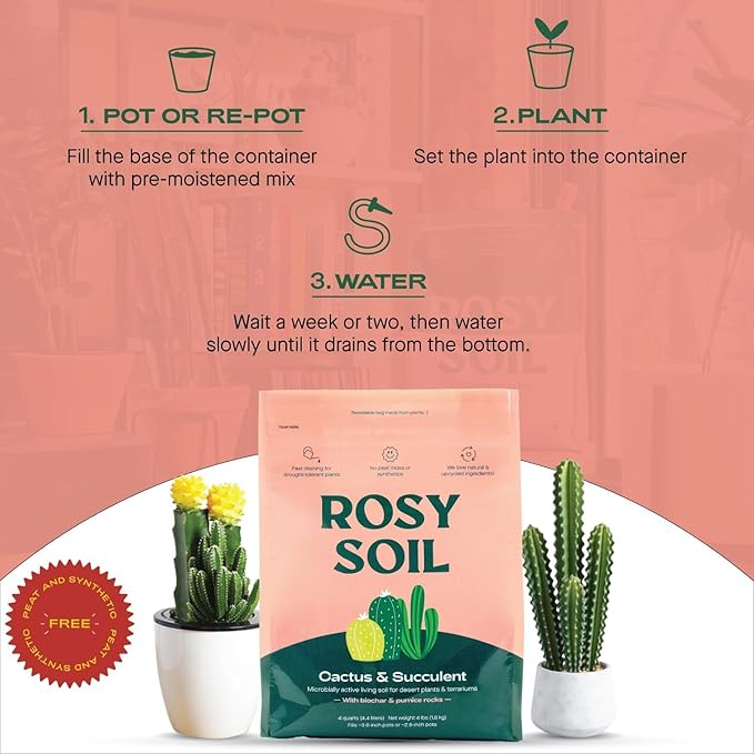 Cactus and Succulent Organic Potting Soil Mix for House Plants - Fast Draining, Root Boosting, Peat-Free, Less Prone to Gnats - Drought-Tolerant - Growth of Aloe Vera, Cacti and Indoor Succulents- 4qt - Bloomnest