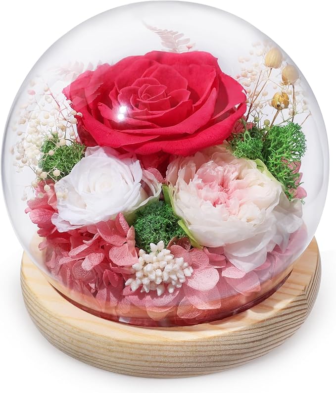 FIACO Preserved Rose Birthday Gift for Women Forever Fresh Flowers for Prime Delivery Gift for Mom Grandma Wife Valentines Mothers Day Christmas Anniversary Eternal Roses in Glass Dome - Bloomnest
