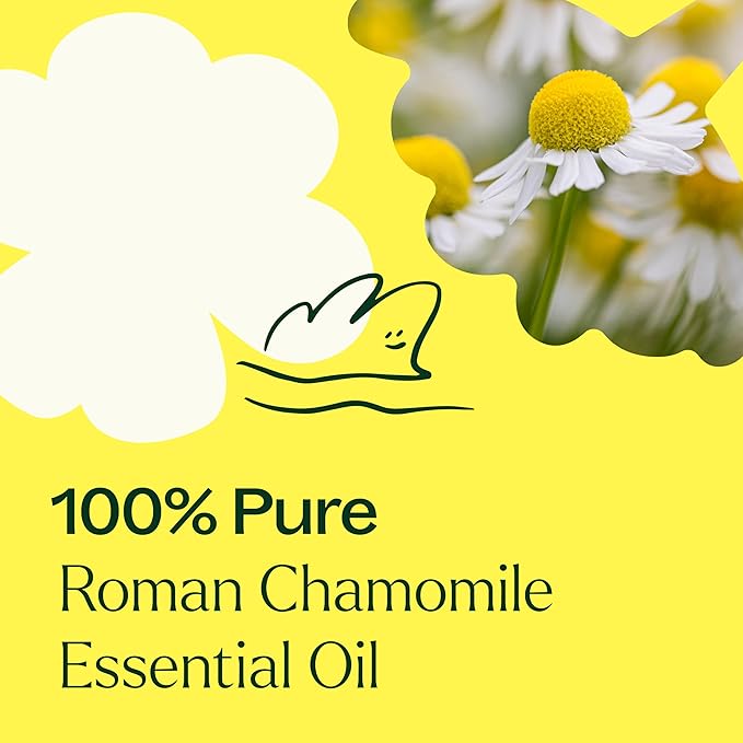 Plant Therapy Roman Chamomile Essential Oil 100% Pure, Undiluted, Natural Aromatherapy, Therapeutic Grade 10 mL (1/3 oz) - Bloomnest