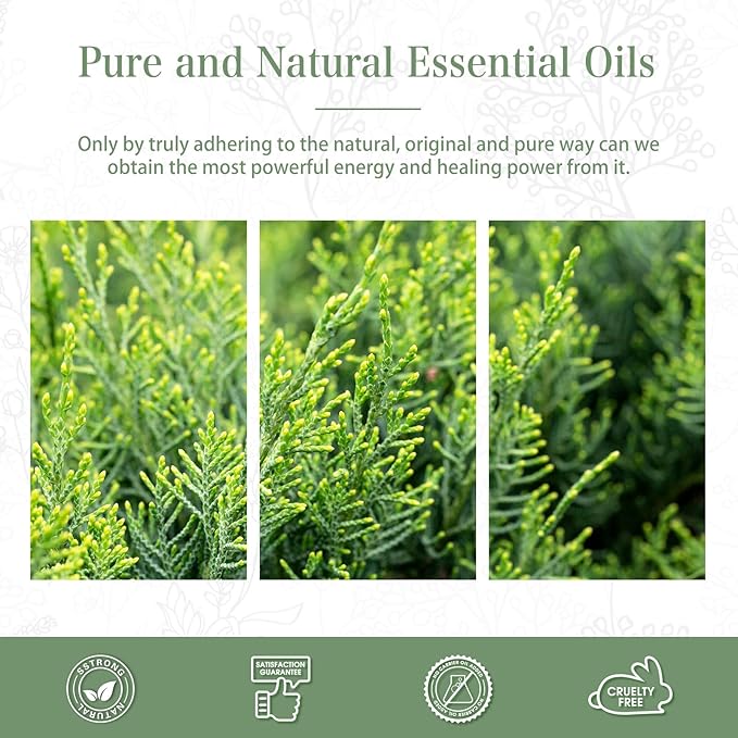 Cypress 3.38fl.oz Essential Oil, PHATOIL Aromatherapy Essential Oils for Diffuser, Humidifier, Perfect for DIY Soap, Candle, Bath Bombs Making(100ml) PHATOIL