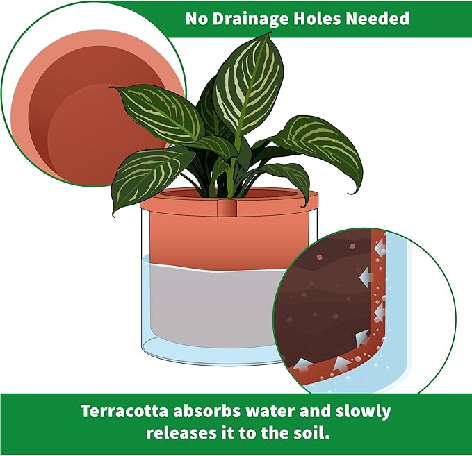 Phoenix Vine 8 Inch Self Watering Planter Pots, Design White Terracotta Pots for Plants, Indoor Cylinder Terra Cotta Pots with Glass Vase, Set of 1, 51-A-H-1 - Bloomnest