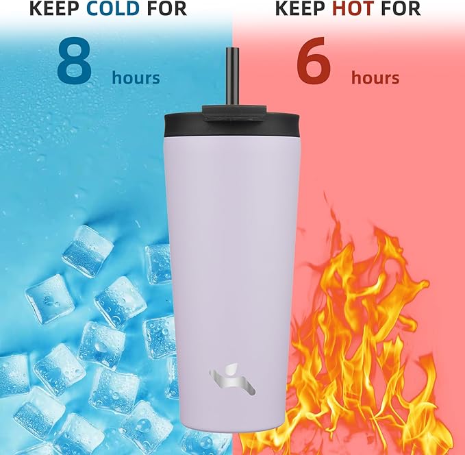 22 OZ Insulated Tumbler with Lid and 2 Straws Stainless Steel Water Bottle Vacuum Travel Mug Coffee Cup,Taro - Bloomnest
