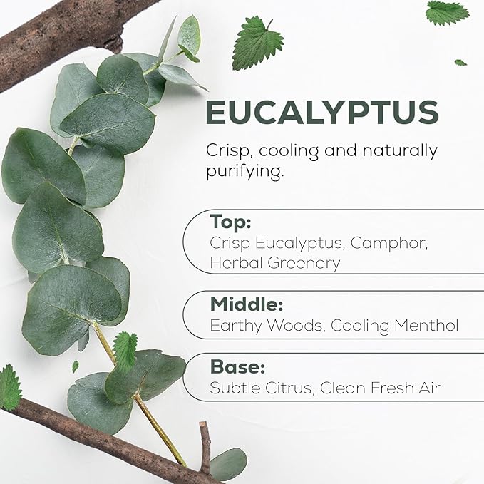 Aroma Country 100% Pure Eucalyptus Essential Oil – Organic & Undiluted Diffuser Oil, Humidifier, Steam Room & Shower Aromatherapy – Natural, Therapeutic Grade Oil for Skin, Sauna, & Home (4 Fl. oz) AromaCountry
