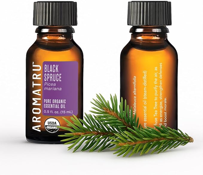 Purify Essential Oil Kit – Tea Tree, Eucalyptus Globulus, Lemon, and Black Spruce – Organic & Wildcrafted – ISO Certified – No Synthetic Fillers – Ethically Sourced - Bloomnest