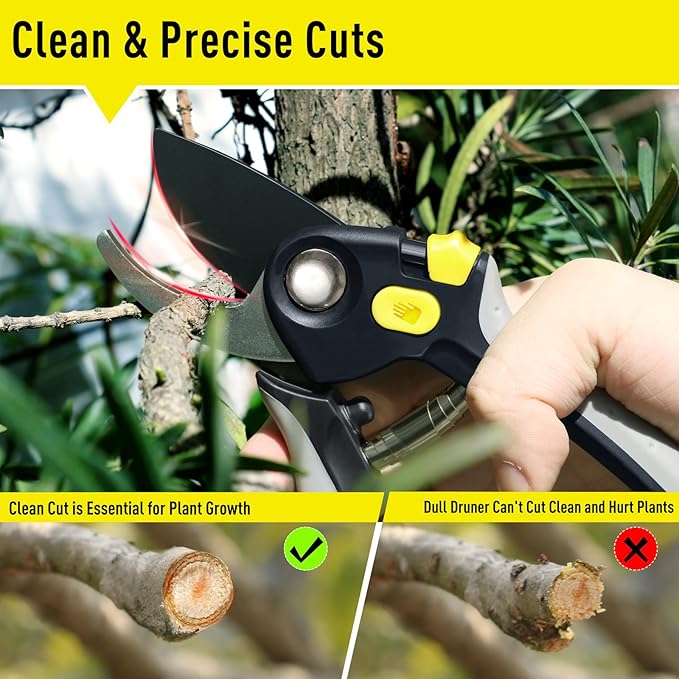 Jardineer Pruning Shears for Gardening, 3Pack Stainless Steel Garden Shears Set include Bypass Hand Pruner, Anvil Pruning Scissor, Pruning Snips for Flowers, Herbs and Small Branches - Bloomnest
