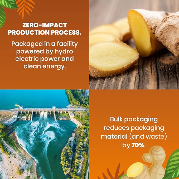 Organic Ginger Tea — 100 Tea Bags | Organic Herbal Tea From Single Origin | Eco-Friendly | Non-GMO Caffeine Free | Cederberg Tea Company. - Bloomnest