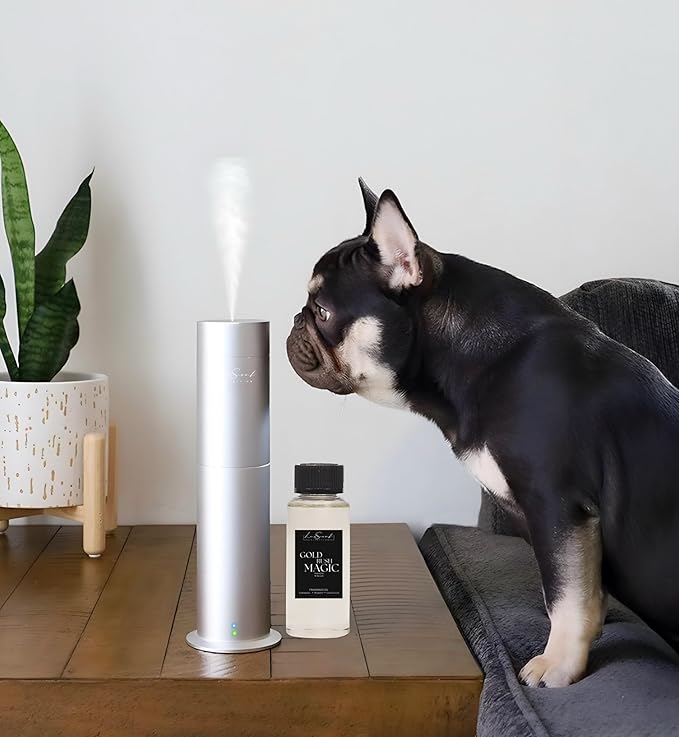 Aroma Scent Diffuser Starter Kit for Up to 1000SQ. FT. Coverage - 120ML Waterless Essential Oil Scent Included - Luxury Aroma Diffuser Ideal for Home, Office & Hotel (Silver, Gold Rush Magic) - Bloomnest