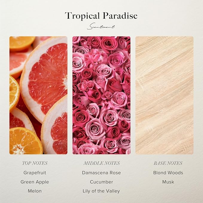 Scentiment Diffuser Oil - Tropical Paradise | Aromatherapy Fragrance Inspired by 5-Star Hotels | Luxurious Scent with Notes of Grapefruit, Green Apple, Musk (20 mL) Scentiment