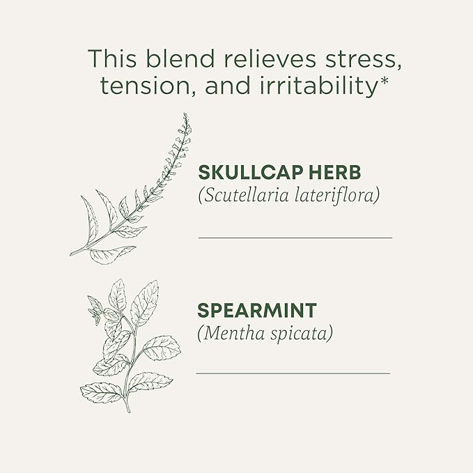 Traditional Medicinals Organic, Stress Ease Tension Relief, Lemon Verbena Mint Tea - Supports Stress Relief - Kosher, Non-GMO, Caffeine-Free, Compostable - 16 Count (Pack of 2) - Bloomnest