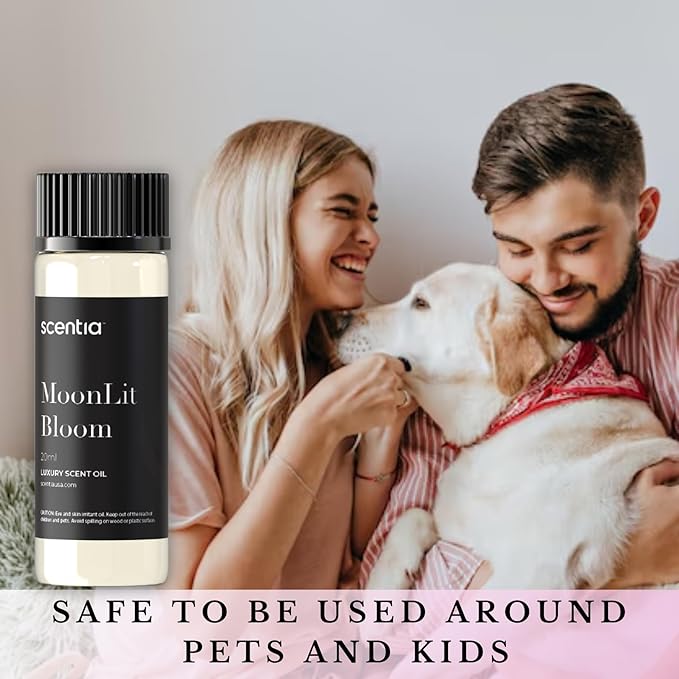 Golden Romance Diffuser Oil | Romantic Essential Aromatherapy Oil for Love and Date Night | Valentine Collection with Mandrin, Lemon, Bourbon & Musk | 20ml | 0.67 Fl Oz, Thanksgiving Gift - Bloomnest
