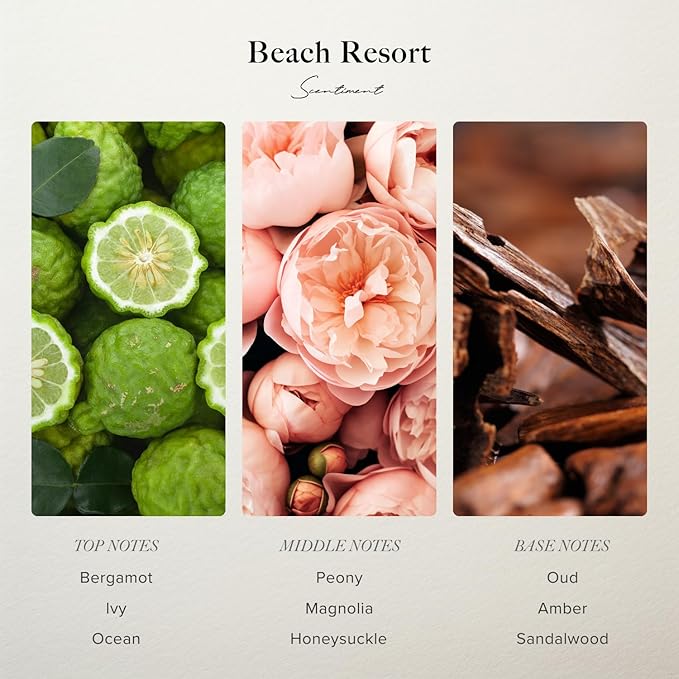 Scentiment Diffuser Oil - Beach Resort | Aromatherapy Fragrance Inspired by 5-Star Hotels | Luxurious Scent with Notes of Bergamot, Ocean, Peony with Amber & Sandalwood (120 mL) Scentiment