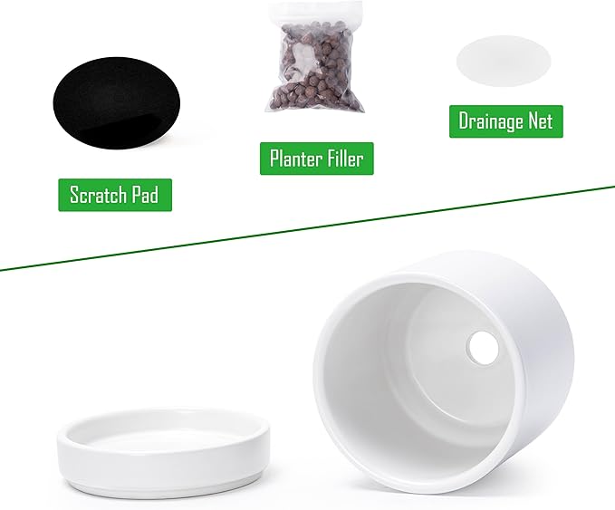D'vine Dev 3.5 Inch & 4.7 Inch Ceramic Planter Pots for Plants with Drainage Hole and Saucer, X-Small Plant Pots Set, White, 94-G-XS-1 - Bloomnest