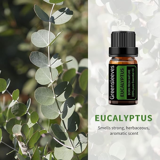 GREENSLEEVES Vetiver Eucalyptus Essential Oil Set, 2 x 10ml Pure Plant-Based Fragrance Oil for Aromatherapy, Essential Oils for Diffuser, Massage, Bath Bomb, Scented Candle Soap Making GREENSLEEVES