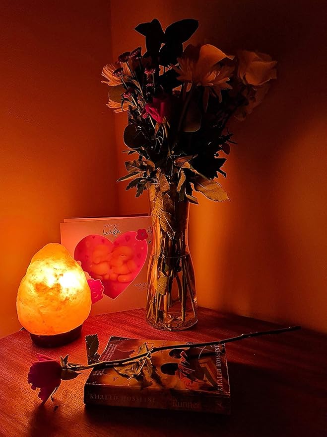 Dimmable Salt Lamp, Natural Himalayan Crystal Rock Salt Lamp Pink Light, Hand Crafted Wooden Base Direct from Foothills of The Himalayas Home Decor, Night Light & Gifts - Bloomnest