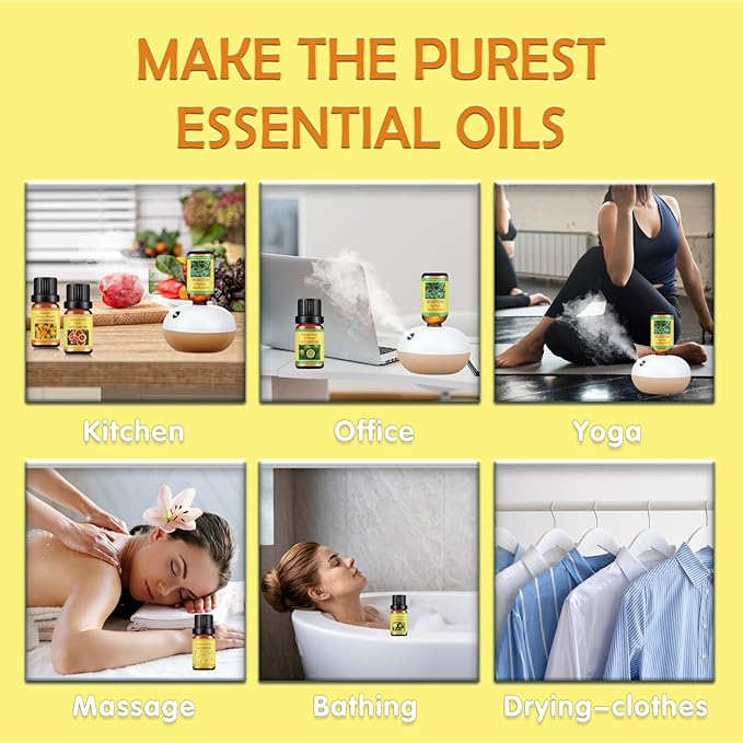 Citrus Essential Oils Set for Diffuser - 6x10ml Aromatherapy Oils Including Bergamot, Lemon, Grapefruit, Lime, Lemongrass, and Citrus Bloom - Essential Oils for Diffuser Use at Home or Office - Bloomnest