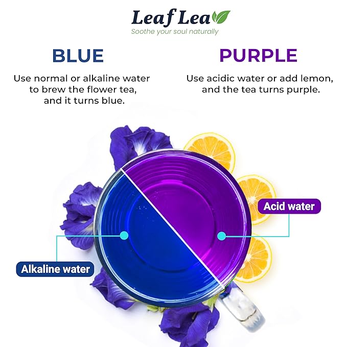 LeafLea 40 Butterfly Pea Flower Tea Bags, Herbal Flower Tea for Relaxation, Mocktails, and Natural Food Coloring, Caffeine-Free, Sugar-Free, Non-GMO - Bloomnest