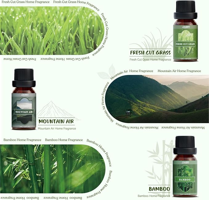 SALUBRITO Nature Fragrance Oils Set, Essential Oils Set - Forest Pine, Ocean Breeze, Rain, Fresh Cut Grass, Mountain Air, Bamboo, Premium Scented Oil for Diffuser, Candle, Soap Making - Bloomnest
