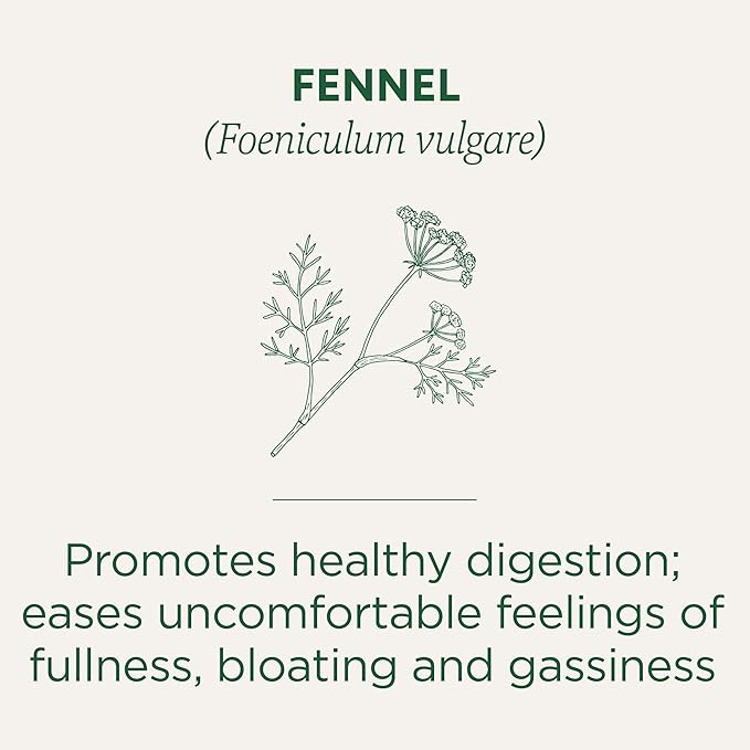 Traditional Medicinals Organic Fennel Tea,16 Count (Pack of 2) - Bloomnest