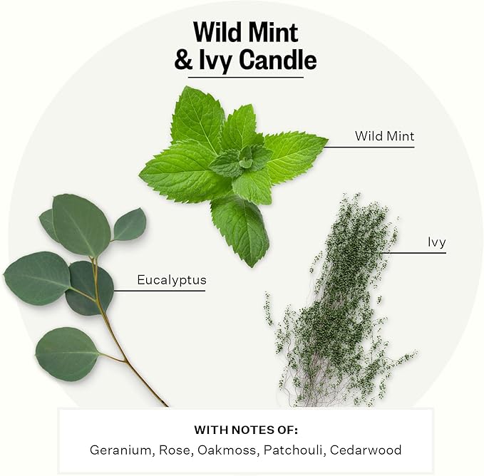 Apotheke 3-Wick Scented Candles for Home, Wild Mint & Ivy - 26 oz Soy Wax Jar Candle Gift for Women - Long-Lasting Fragrance with Perfume-Grade Essential Oils - Eucalyptus, Patchouli, Cedarwood & Rose - Bloomnest
