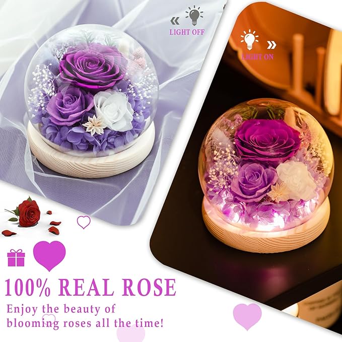 FIACO Valentines Day Gifts for Her Preserved Rose Forever Fresh Flowers for Delivery Birthday Flowers Gifts for Women Mom Grandma Wife Friends Purple Eternal Roses in Glass Dome - Bloomnest