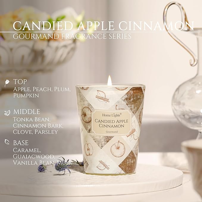 HomeLights Large jar Candle | 1-Wick Long-Lasting Scented Candles, 6.7oz Natural Soy Wax Candle for Home Scented, Rustic Modern Gifts for Women & Men, Candied Apple Cinnamon - Bloomnest