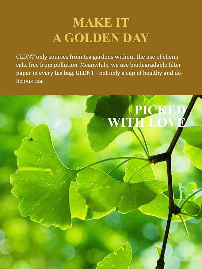 GLDNT Organic Ginkgo Biloba Tea, Dried Ginkgo Biloba Leaves, Mild & Smooth Flavor, Caffeine Free, 100 Count - Bloomnest