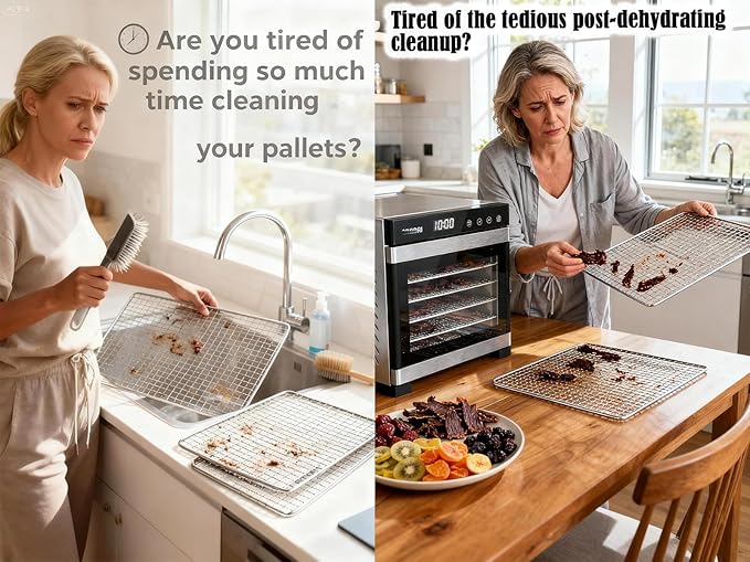 Mesh Silicone Dehydrator Sheets, 10x10 in 10 Pcs/Sets for Food Dehydrator & Freeze Dryer (10x10 INCH Mesh Silicone Dehtdrator Sheet) - Bloomnest