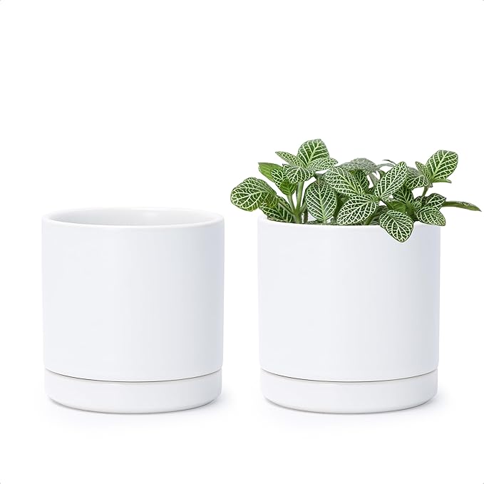 D'vine Dev Set of 2 Plants Pots, 3.5 Inch Ceramic Planter Pot for Plants with Drainage Hole and Saucer, White, 94-V-A-1 - Bloomnest