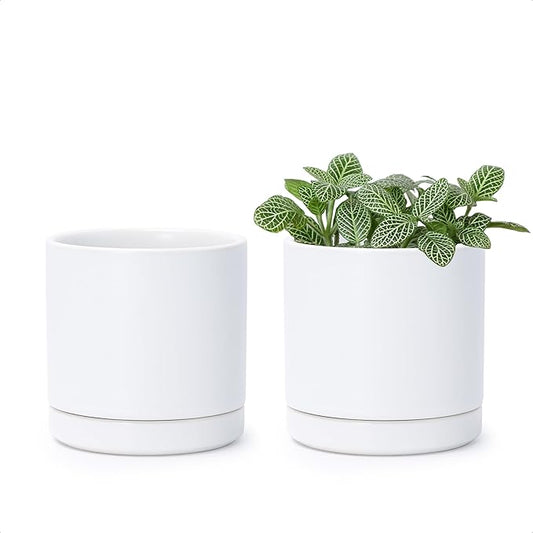 D'vine Dev Set of 2 Plants Pots, 3.5 Inch Ceramic Planter Pot for Plants with Drainage Hole and Saucer, White, 94-V-A-1 - Bloomnest