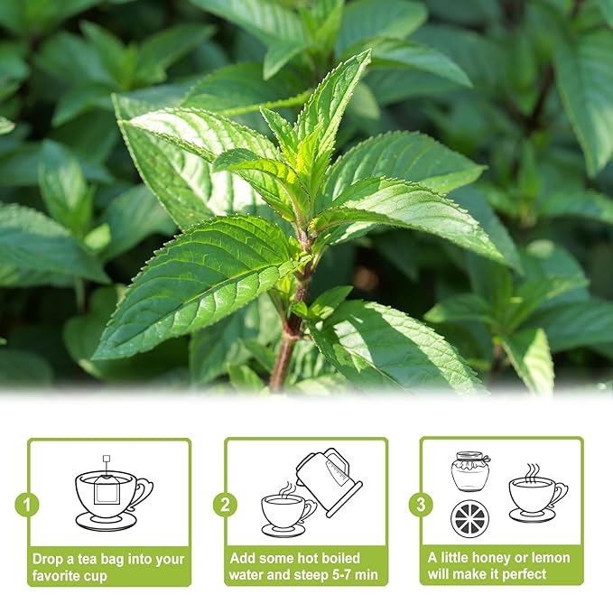 TEARELAE - Peppermint Tea Bags, 80 Count - 100% Pure Peppermint Leaves - Non-GMO - Naturally Caffeine-free Herbal Tea - Support Digestion & Natural Breath Freshener - Bloomnest