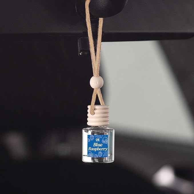 CANDECraftCo Car Air Hanging Fragrance Oil, Car Auto Freshener for Essential Oils, Scents Fragrance Aromatherapy Automobile Diffuser, Long Lasting (Blue Raspberry) - Bloomnest