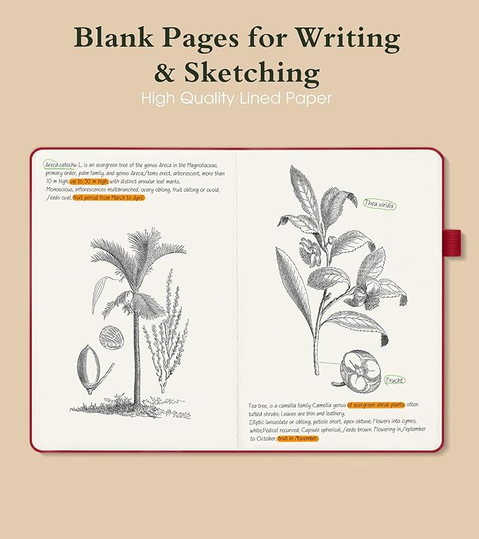PAIBAS Blank Journal Notebook for Women Men,160 Pages,A5 Hardcover Sketchbook for Drawing, Sketch book, Unlined Notebooks for School,Work, Note Taking,Travel Journals for Writing 5.8"x8.5" (Burgundy) - Bloomnest