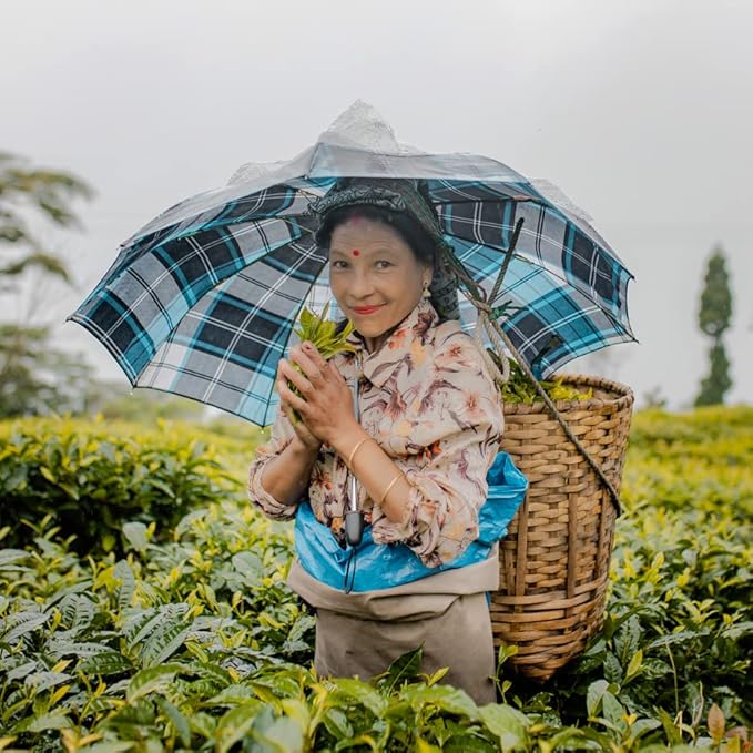 Grace Farms Organic Darjeeling Sunrise Black Tea, 16 Pyramid Sachets | Darjeeling & Orange | Fairtrade & Kosher |Gives Back 100% of Profits - Bloomnest