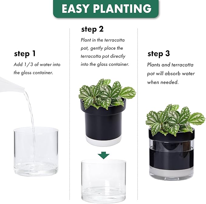 Phoenix Vine 6 Inch Self Watering Terracotta Planter, Black Terracotta Clay Pot with Glass Reservoir for Indoor Plants, Herbs, Flowers, Set of 1, 52-C-F-1 - Bloomnest
