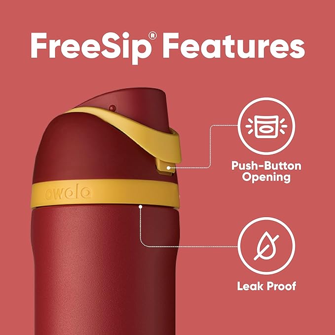 Owala Harry Potter FreeSip Insulated Stainless Steel Water Bottle with Straw, BPA-Free Sports Water Bottle, Great for Travel, 24 Oz, Gryffindor Owala