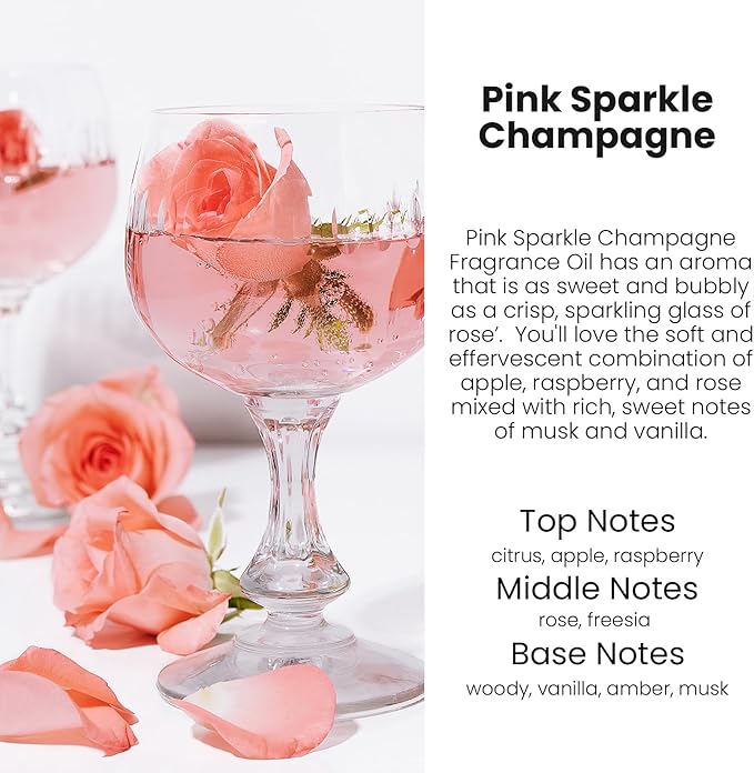 HoogaLife Car Air Freshener Diffuser 2 Pack Hanging Air Freshener Diffuser - Pink Sparkle Champagne Fragrance Oil Air Diffuse r for Car, 45+ Days Long Lasting Fragrance Made in USA (P38) - Bloomnest