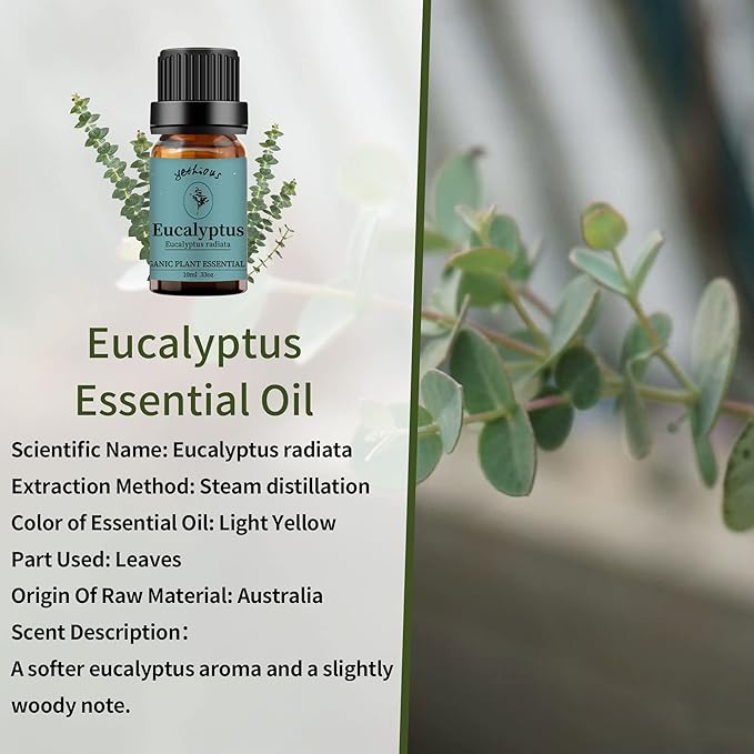 yethious Lavender Eucalyptus Essential Oil Organic Pure Plant Lavender Oil Essential Oil for Diffuser, Skin, Hair Care - Bloomnest