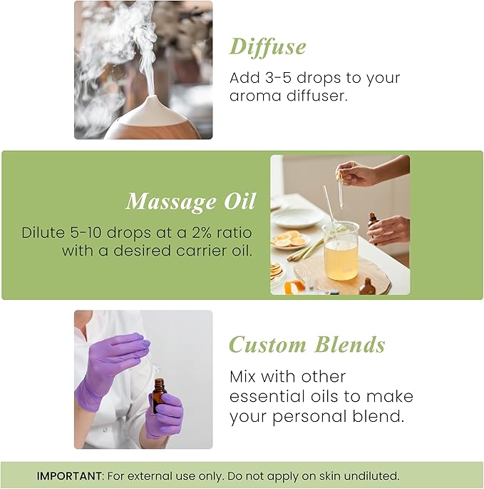 Handcraft Blends Peppermint Essential Oil – 1 Fl Oz – 100% Pure and Natural – Premium Grade Essential Oil for Diffuser and Aromatherapy, Skin, Massage, Candle and Soap Making Fragrance - Bloomnest