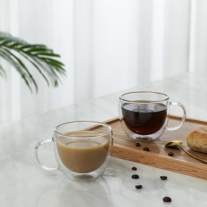 CNGLASS Double Wall Glass Cappuccino Mugs 8.1oz,Clear Insulated Glass Coffee Mug with Handle for Espresso,Latte,Tea,Set of 2 - Bloomnest